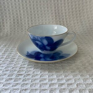 Plural Blue Rose Pattern Tea Cup And Saucer Japan